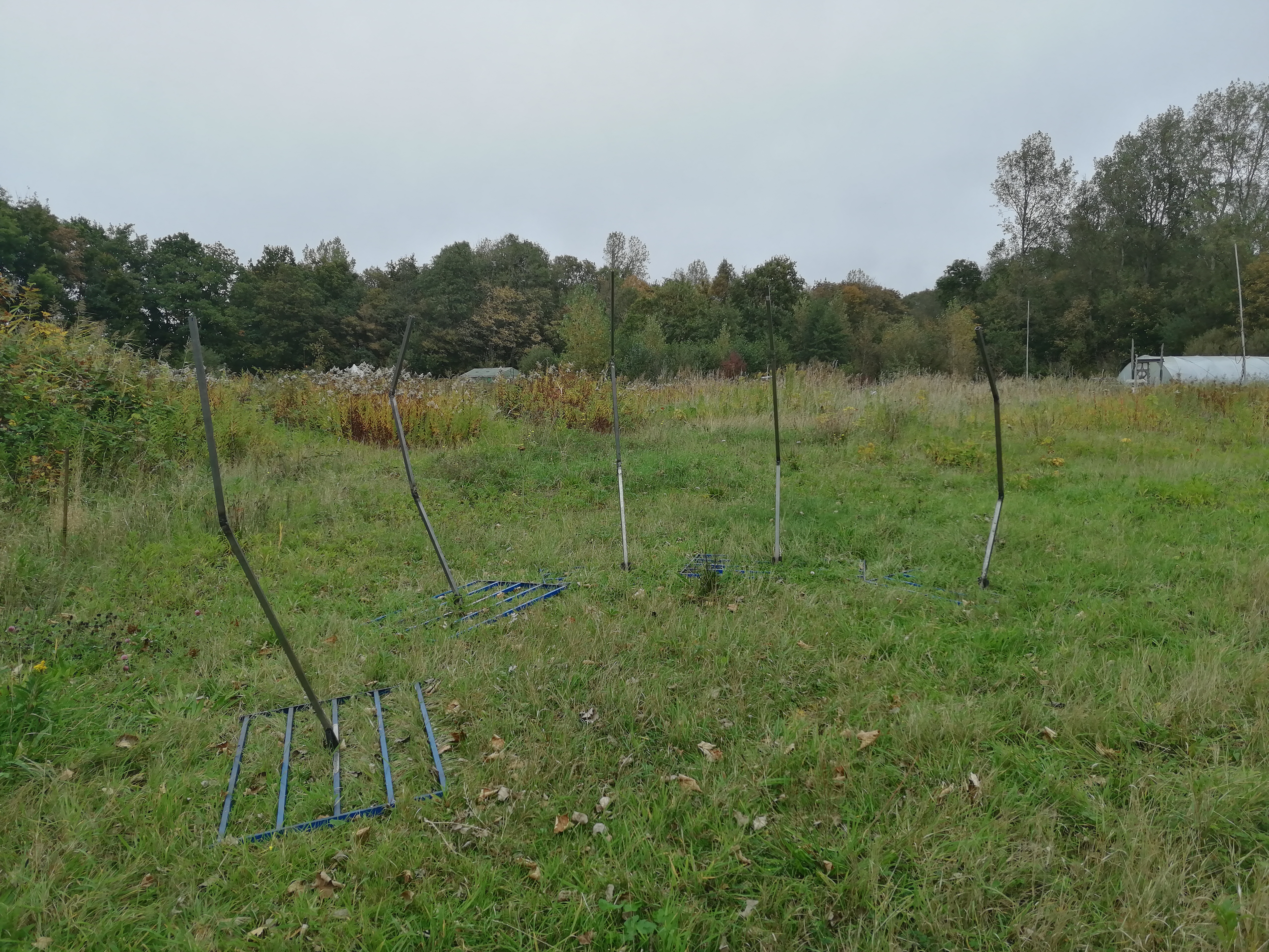 Skelet van the Grasp op locatie