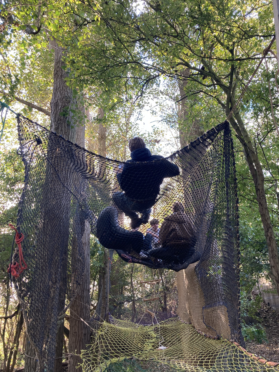 Tweede verdieping nest lijkt veilig